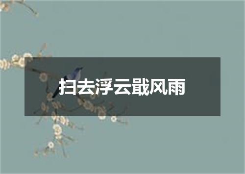 扫去浮云戢风雨