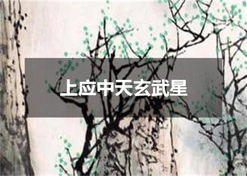 上应中天玄武星