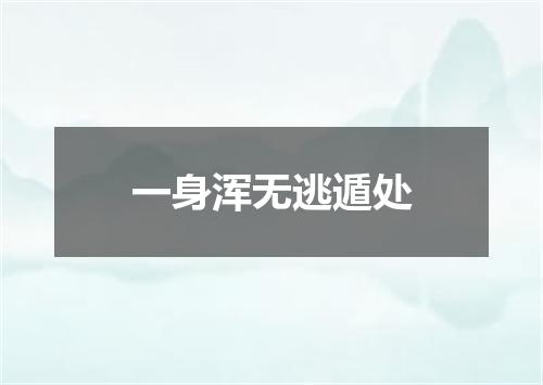一身浑无逃遁处
