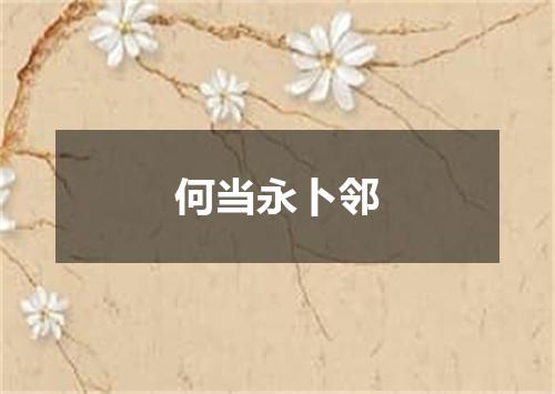 何当永卜邻