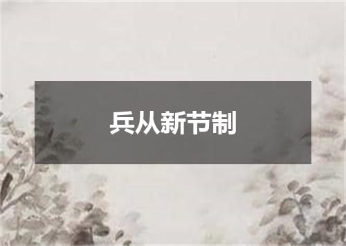 兵从新节制