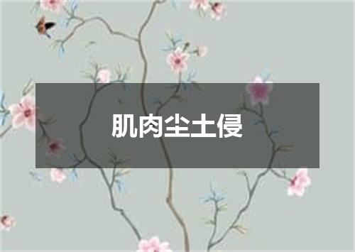肌肉尘土侵