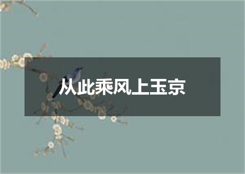 从此乘风上玉京