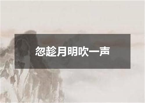 忽趁月明吹一声