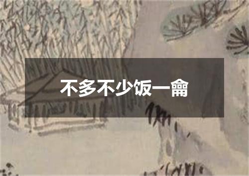 不多不少饭一龠