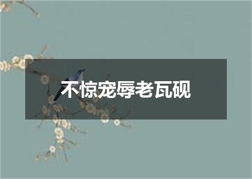 不惊宠辱老瓦砚