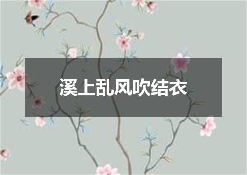 溪上乱风吹结衣