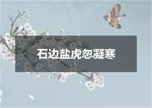 石边盐虎忽凝寒
