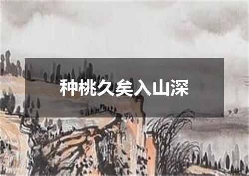 种桃久矣入山深