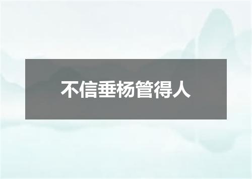 不信垂杨管得人