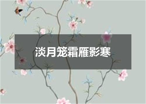 淡月笼霜雁影寒