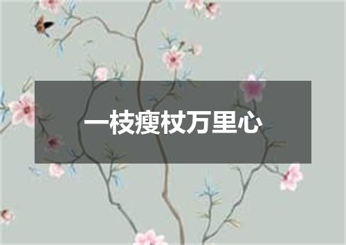 一枝瘦杖万里心