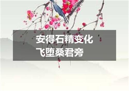 安得石精变化飞堕桑君旁