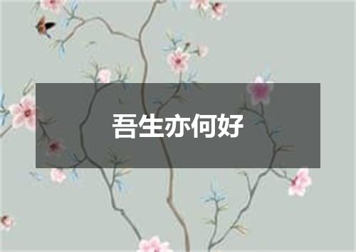 吾生亦何好