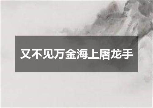 又不见万金海上屠龙手