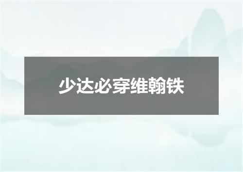 少达必穿维翰铁