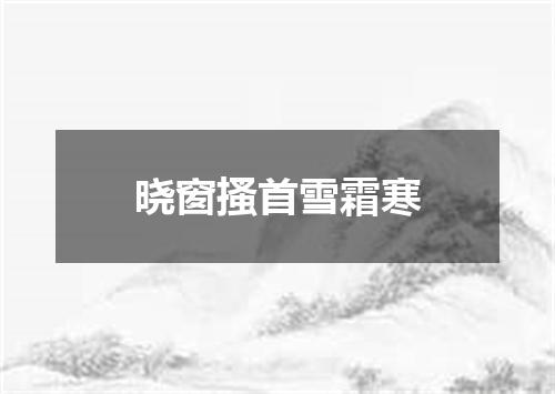 晓窗搔首雪霜寒