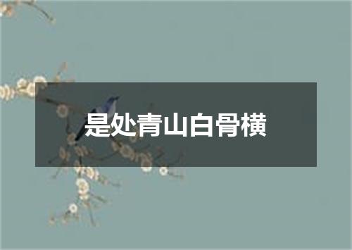是处青山白骨横