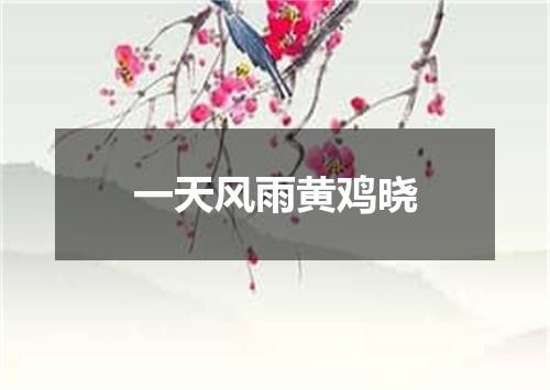 一天风雨黄鸡晓