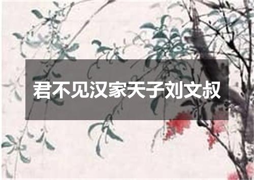 君不见汉家天子刘文叔