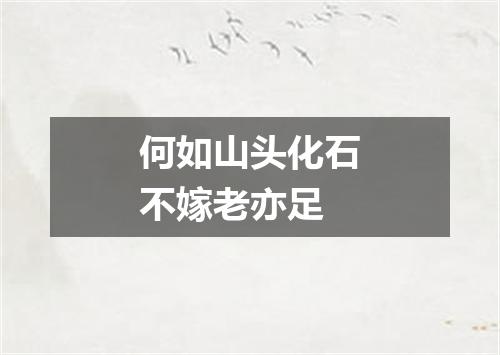 何如山头化石不嫁老亦足