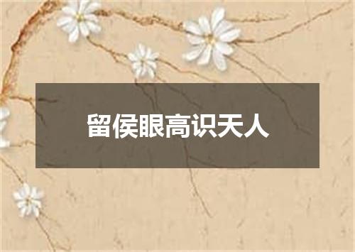 留侯眼高识天人