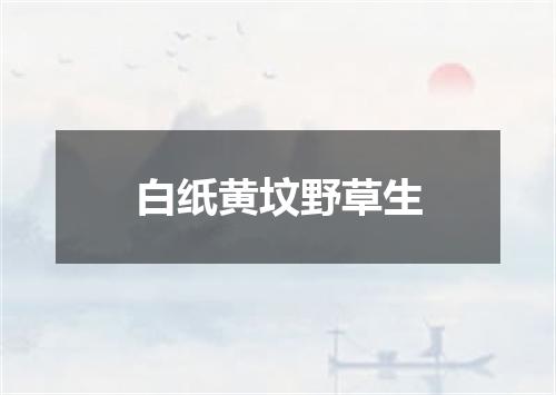 白纸黄坟野草生