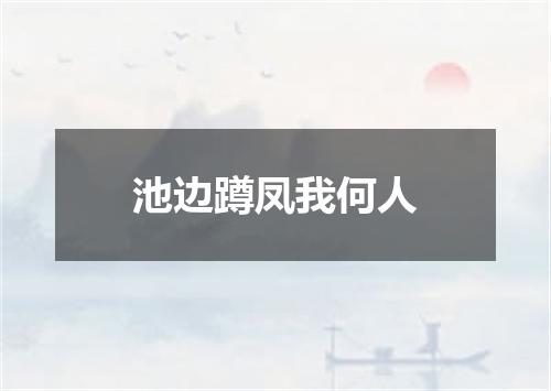 池边蹲凤我何人