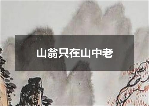 山翁只在山中老