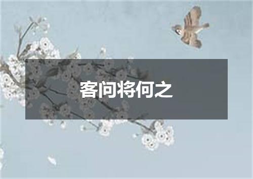 客问将何之