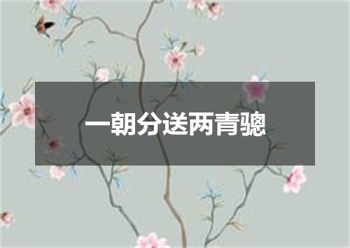 一朝分送两青骢