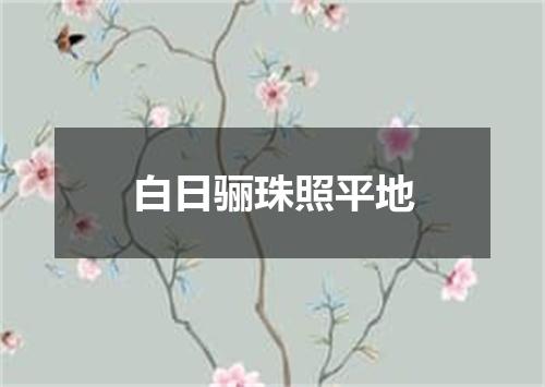 白日骊珠照平地