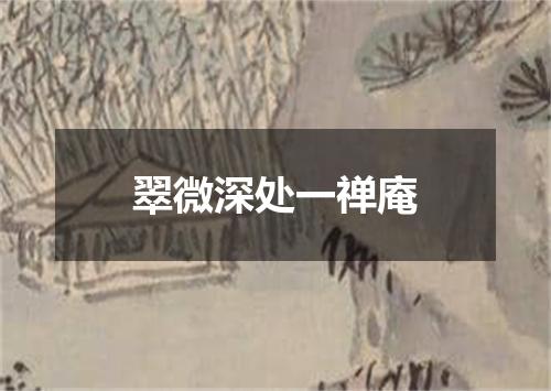 翠微深处一禅庵