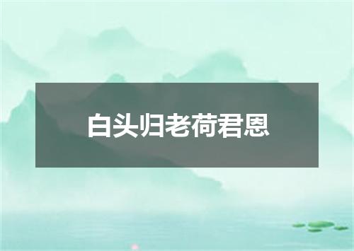 白头归老荷君恩