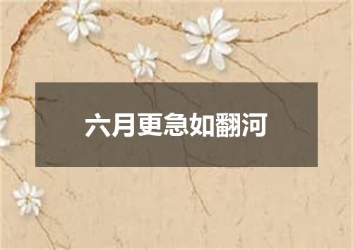 六月更急如翻河