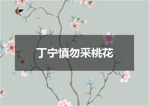 丁宁慎勿采桃花