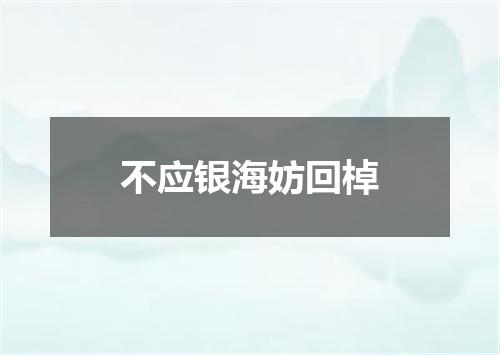 不应银海妨回棹