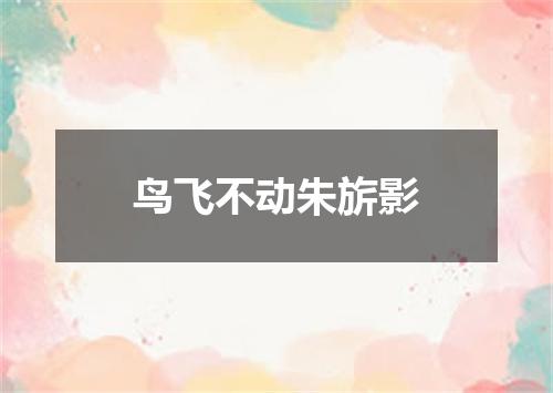 鸟飞不动朱旂影