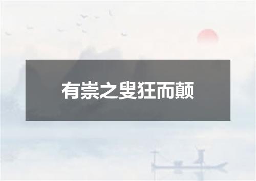 有崇之叟狂而颠