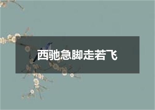 西驰急脚走若飞