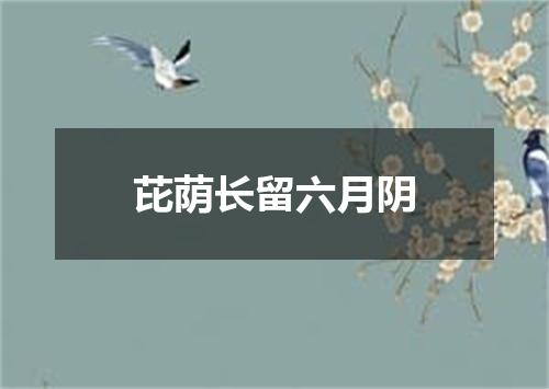 芘荫长留六月阴