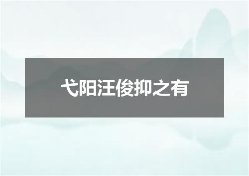 弋阳汪俊抑之有