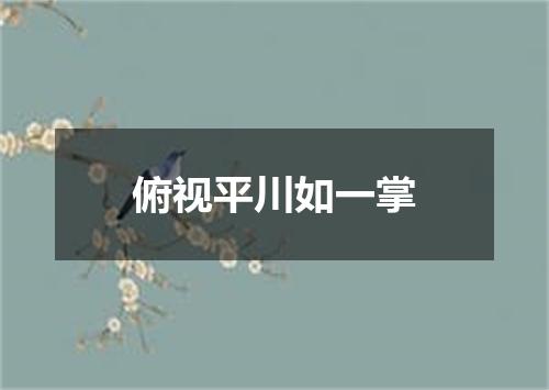 俯视平川如一掌