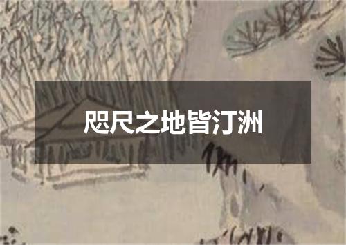 咫尺之地皆汀洲