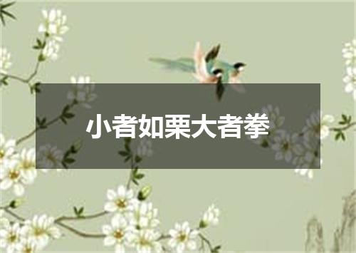 小者如栗大者拳
