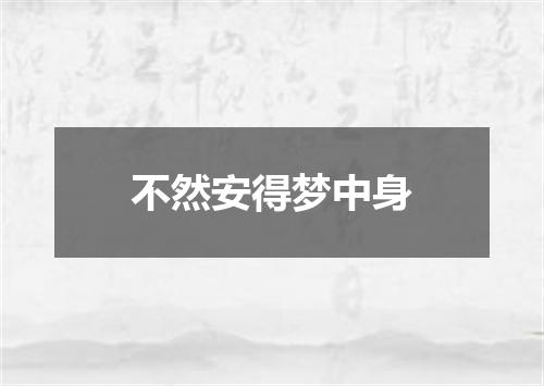 不然安得梦中身