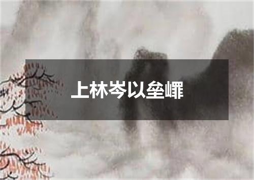 上林岑以垒嶵