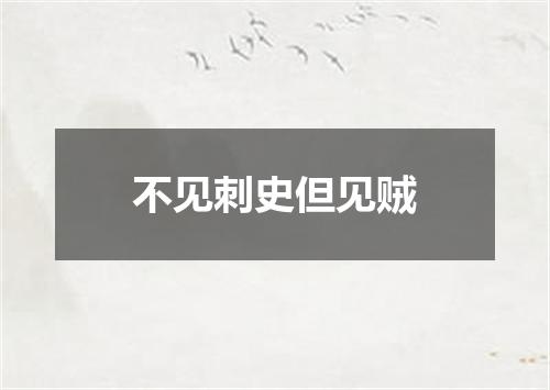 不见刺史但见贼