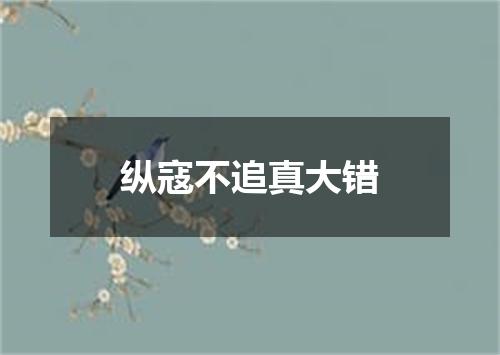 纵寇不追真大错
