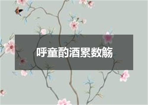 呼童酌酒累数觞